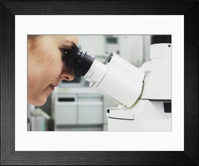 Framed Print : Scientist looking through microscope Framed Print : Scientist looking through microscope