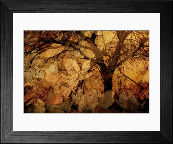 Framed Print : North America, USA, Florida, Merritt Island