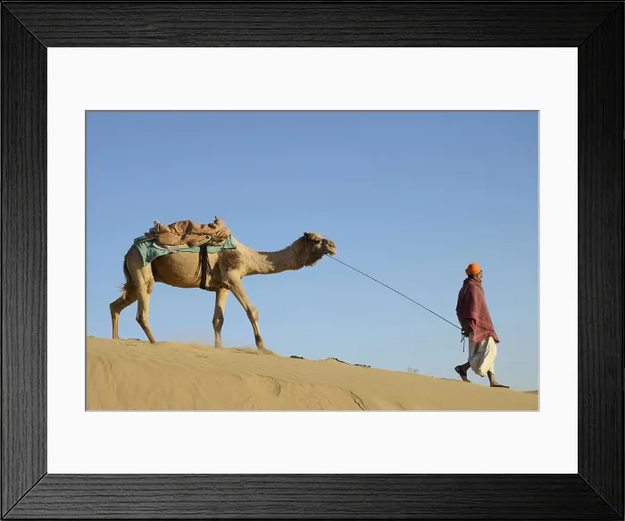 Framed Print : man with camel walking on Sand Dunes Khuhri Jaisalmer Rajasthan India Copyright: xSarveshxJoshi / DinodiaxPhotox