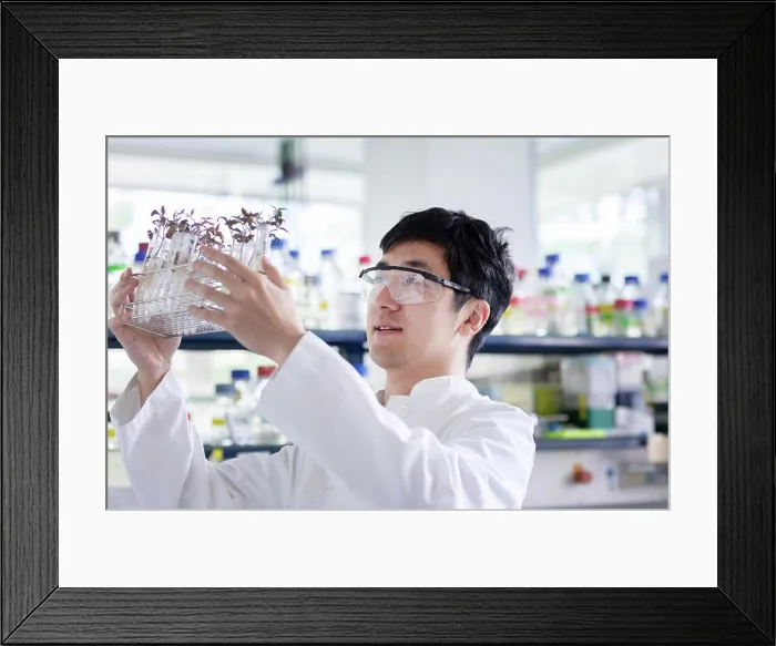 Framed Print : young scientist male chinese working in laboratory Framed Print : young scientist male chinese working in laboratory