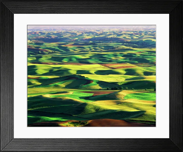 Framed Print : USA, Washington State, Eastern Washington, Palouse, Contour farming in Palouse farm (Large format sizes available)