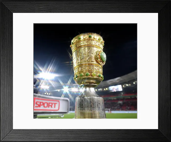 Framed Print : Original DFB trophy, Mercedes-Benz Arena, Stuttgart, Baden-Wuerttemberg, Germany, Europe