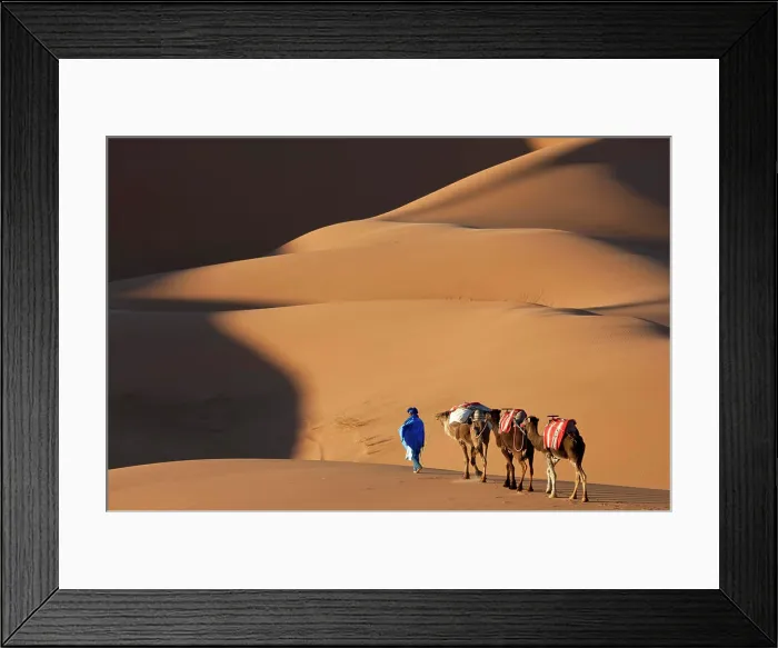 Framed Print : Camels and Dunes, Erg Chebbi, Sahara Desert, Morocco Framed Print : Camels and Dunes, Erg Chebbi, Sahara Desert, Morocco
