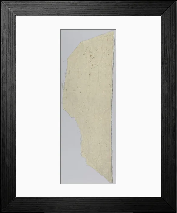 Framed Print : Embossed wool, Medium: wool Technique: stamped (so-called moreen) plain cloth