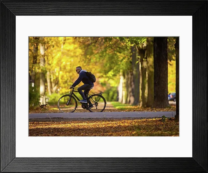 Framed Print : The Great Garden in Dresden is a park of Baroque origin Framed Print : The Great Garden in Dresden is a park of Baroque origin