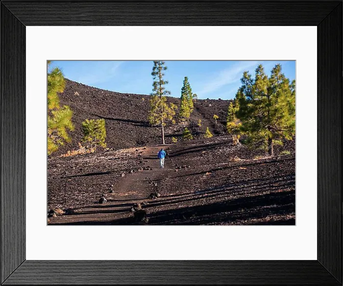Framed Print : Canary Island pines (Pinus canariensis), Mirador de Chio, Teide National Park, Tenerife, Canary Islands, Spain, Europe Framed Print : Canary Island pines (Pinus canariensis), Mirador de Chio, Teide National Park, Tenerife, Canary Islands, Spain, Europe