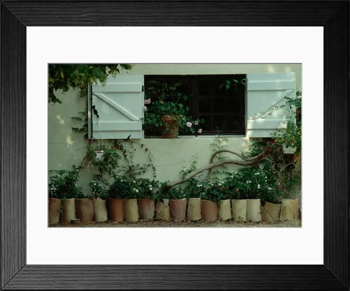 Framed Print : Open white shutters above row of cylindrical pots