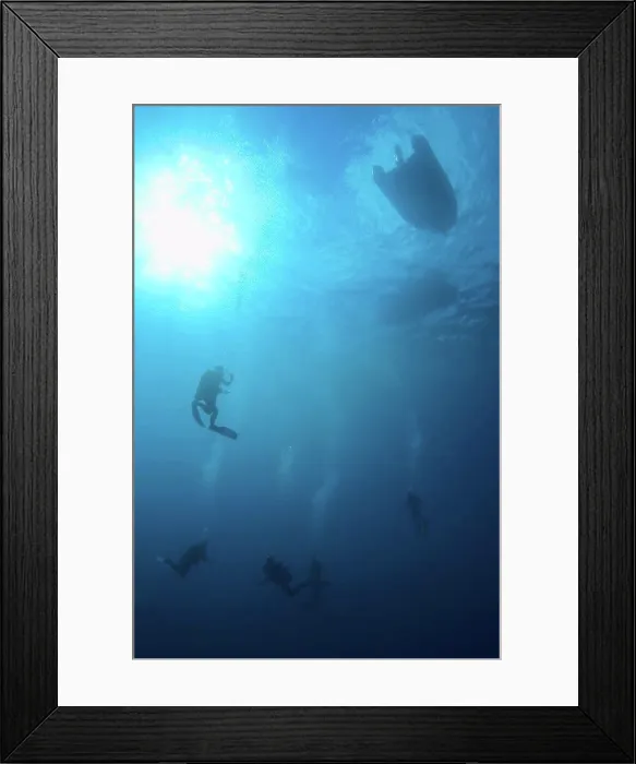 Framed Print : Scuba Divers Near Aldabra Atoll Framed Print : Scuba Divers Near Aldabra Atoll