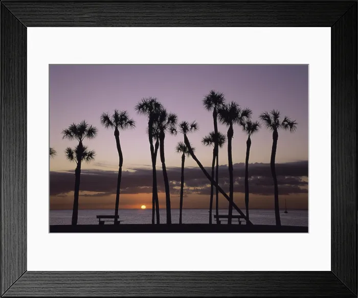 Framed Print : St. Petersburg Florida USA