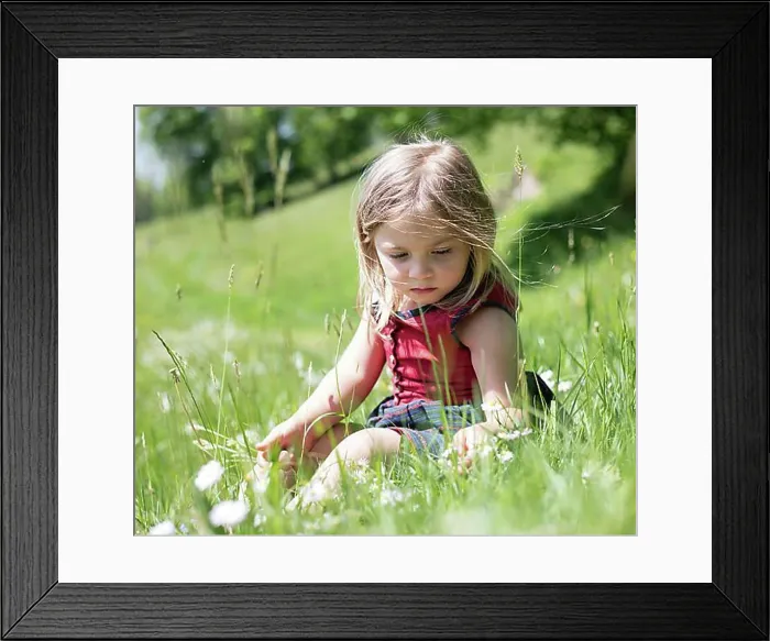 Framed Print : Little girl sitting in a flower meadow, Upper Bavaria, Bavaria, Germany, Europe Framed Print : Little girl sitting in a flower meadow, Upper Bavaria, Bavaria, Germany, Europe