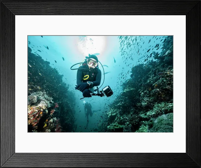 Framed Print : diver exploring the tropical waters around the Similan Islands Framed Print : diver exploring the tropical waters around the Similan Islands