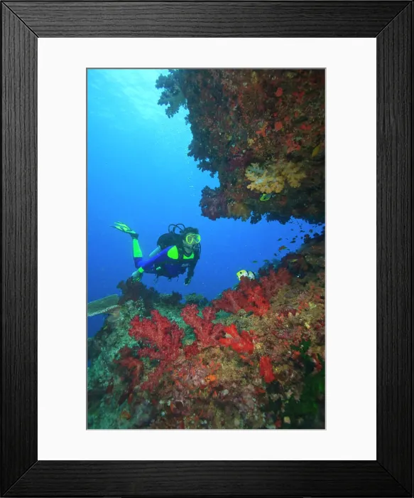 Framed Print : MR Diver near large Soft Coral-lined underwater Arch near Beqa Island off Southern Viti Levu, Fiji, South Pacific Framed Print : MR Diver near large Soft Coral-lined underwater Arch near Beqa Island off Southern Viti Levu, Fiji, South Pacific