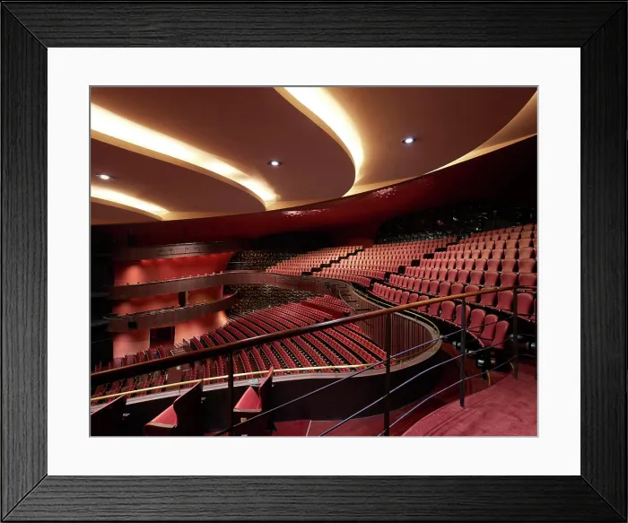 Framed Print : Main auditorium space. National Taichung Theater, Taichung, China. Architect: Toyo Ito, 2016 Framed Print : Main auditorium space. National Taichung Theater, Taichung, China. Architect: Toyo Ito, 2016