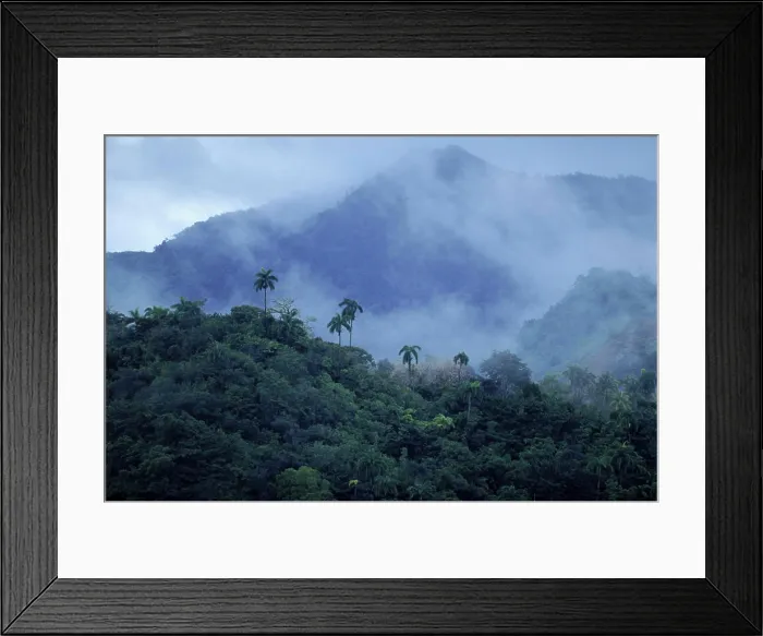 Framed Print : misty mountain landscapeSierra Maestra Mts. near the colonial city of Baracoa, Cuba Framed Print : misty mountain landscapeSierra Maestra Mts. near the colonial city of Baracoa, Cuba