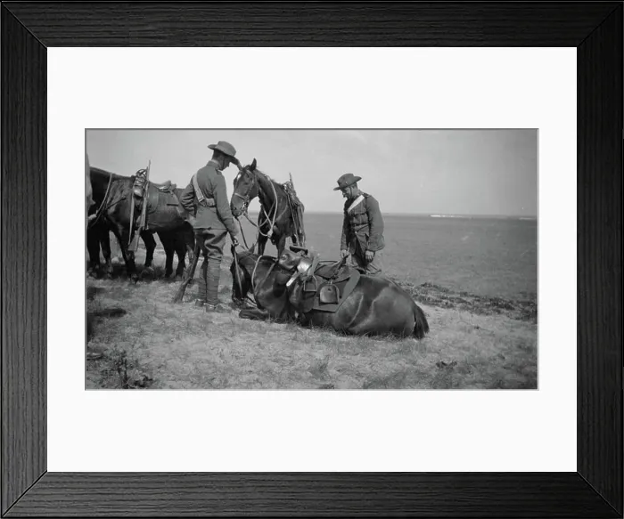Framed Print : The Second Boer War, 1899-1902 Officers of the Lothians and Berwickshire Yeomanry tending their horses
