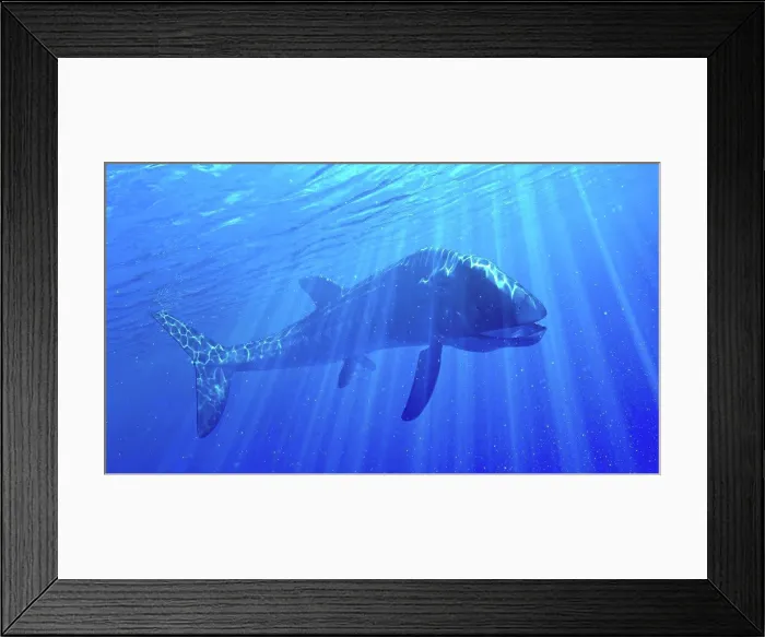 Framed Print : Illustration of a Leedsichthys Framed Print : Illustration of a Leedsichthys