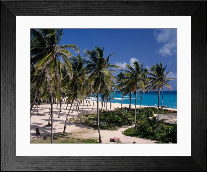 Framed Print : Barbados, St Philip, Sam Lords Castle Hotel Beach, Palms In Sand, Gardens With Wall Framed Print : Barbados, St Philip, Sam Lords Castle Hotel Beach, Palms In Sand, Gardens With Wall