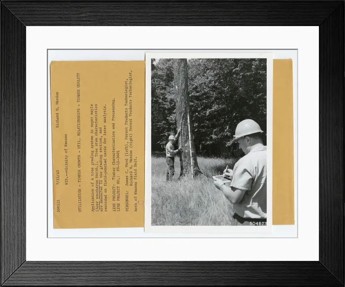 Framed Print : Wood Utilization. Photographs Relating to National Forests Framed Print : Wood Utilization. Photographs Relating to National Forests