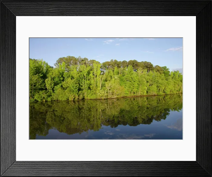 Framed Print : Mississippi, Tennessee-Tombigbee Waterway. Early evening reflection along the Tenn-Tom Waterway Framed Print : Mississippi, Tennessee-Tombigbee Waterway. Early evening reflection along the Tenn-Tom Waterway