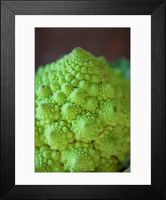 Framed Print : Close-up of Romanesco cauliflower Framed Print : Close-up of Romanesco cauliflower