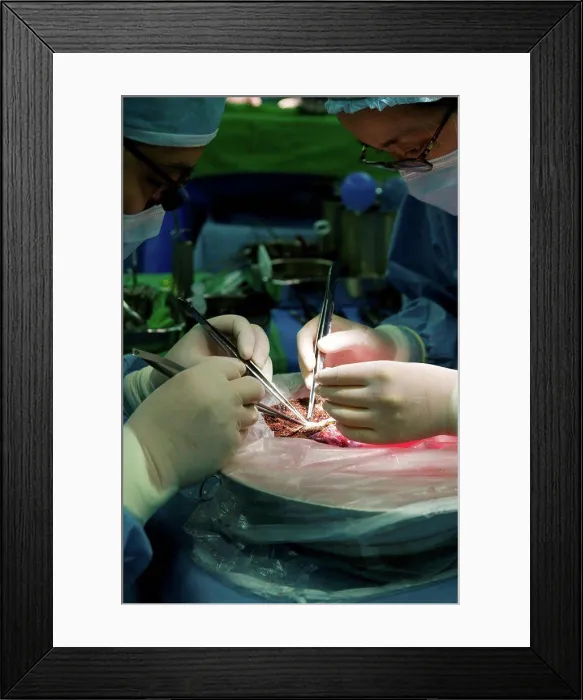 Framed Print : South Korea, Seoul, Samsung Medical Center, surgeons performing liver transplant