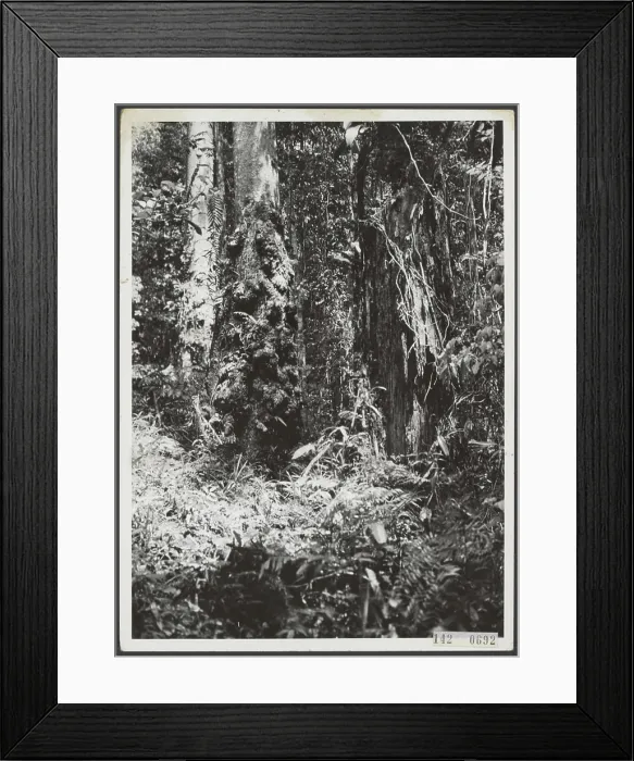 Framed Print : Information office radio broadcaster Dutch Guinea Framed Print : Information office radio broadcaster Dutch Guinea