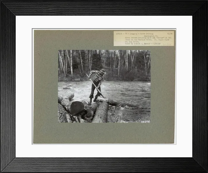 Framed Print : Logging: Transportation: Log Drive - Maine Framed Print : Logging: Transportation: Log Drive - Maine