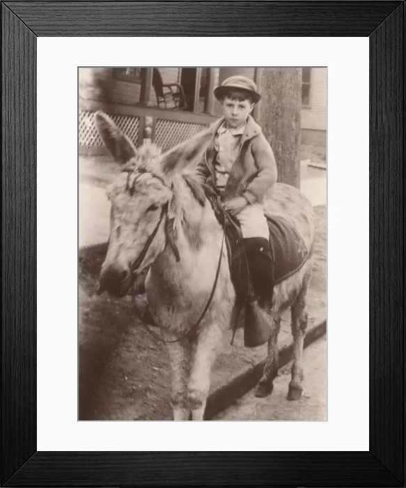 Framed Print : Boy sitting on donkey Framed Print : Boy sitting on donkey