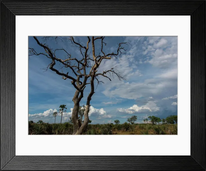 Framed Print : Photo of the dry landscape of the Jao Concession, Okavango Delta in Botswana with no water after years of draught