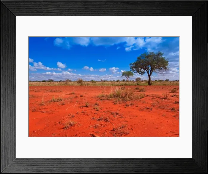 Framed Print : Tsavo National Park, Kenya Framed Print : Tsavo National Park, Kenya