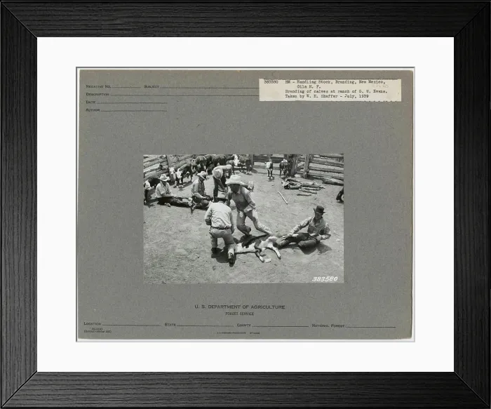 Framed Print : Branding and Marking - All States Framed Print : Branding and Marking - All States