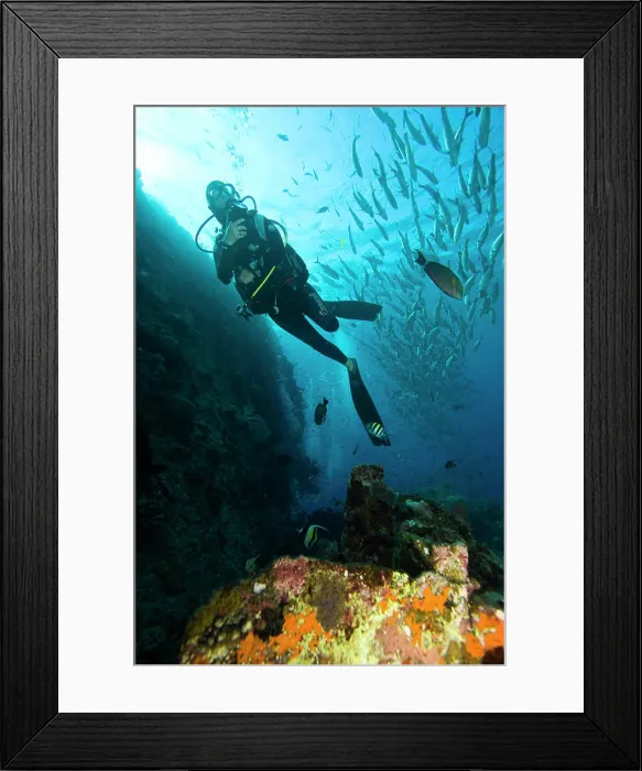 Framed Print : Indonesia, Bali Province, Tulamben. (MR) Woman scuba diver, Liberty Shipwreck