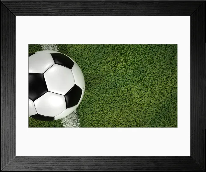 Framed Print : Football on the ground A classic football on the ground. 3d illustration Framed Print : Football on the ground A classic football on the ground. 3d illustration