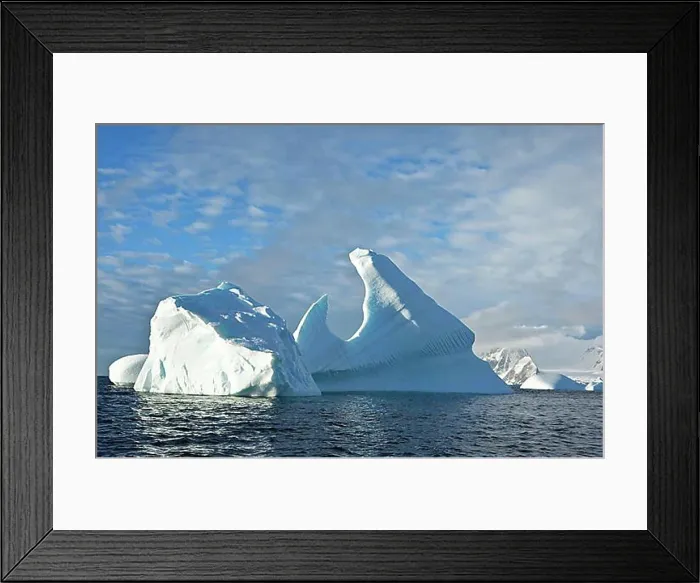 Framed Print : Icebergs in the Southern Ocean, Antarctic Peninsula, Antarctica