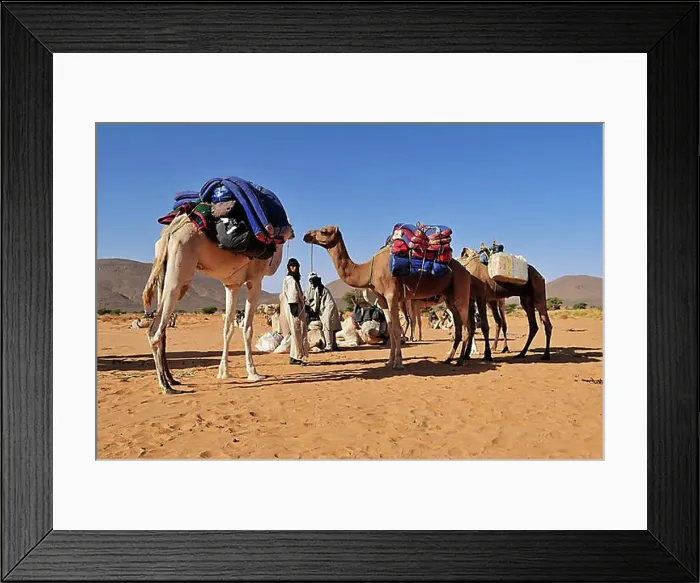 Framed Print : Touareg of the Kel Immidir preparing a tourist caravan, Adrar Tekemberet, Immidir, Algeria, Sahara, North Africa, Africa