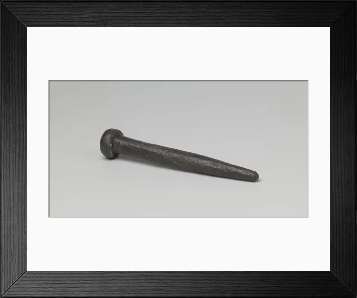 Framed Print : Boutdrevel with one pointed end and a round button