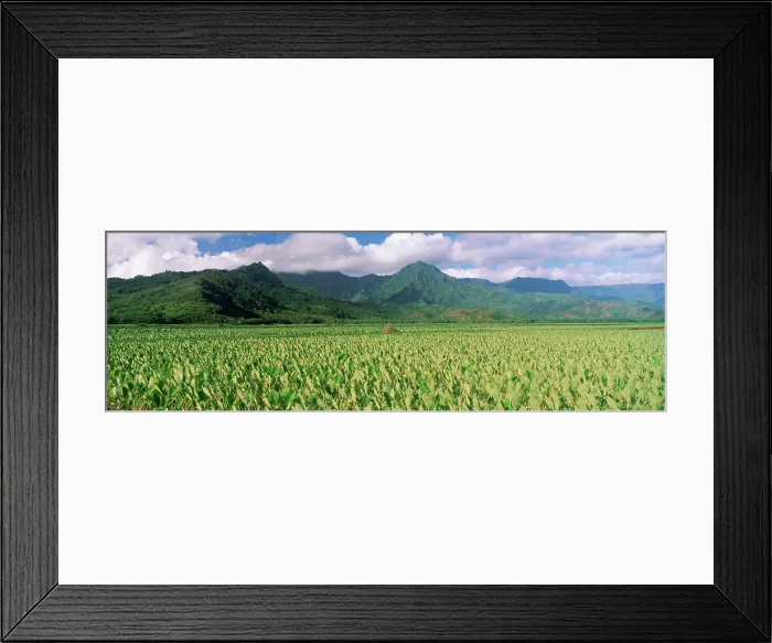 Framed Print : Hanalei Valley, Hawaii