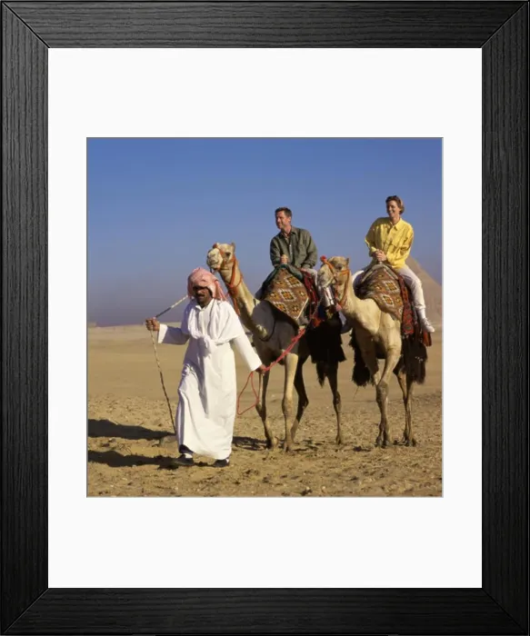 Framed Print : Young couple riding two camels leading by a Bedouin man, Giza, Egypt Framed Print : Young couple riding two camels leading by a Bedouin man, Giza, Egypt