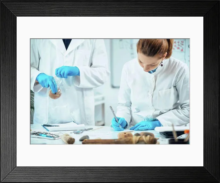 Framed Print : Male archaeologist putting ancient weight in a plastic bag