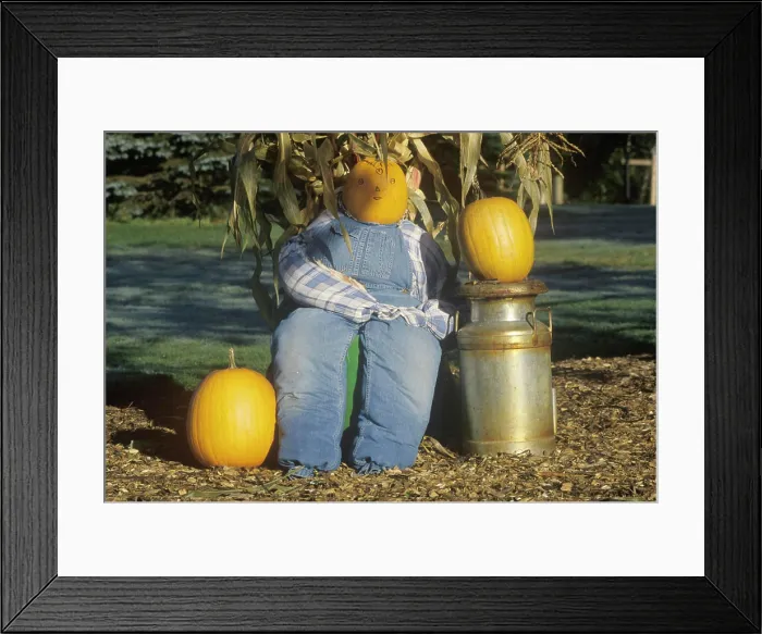 Framed Print : Halloween Decorations, New England