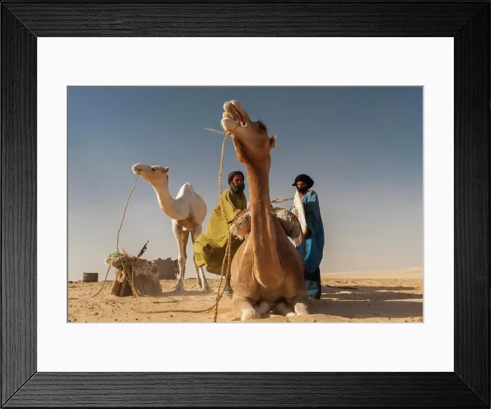 Framed Print : A caravan of salt traders and camels heads to the ancient city of Timbuktu on the southern margin of the great desert Framed Print : A caravan of salt traders and camels heads to the ancient city of Timbuktu on the southern margin of the great desert