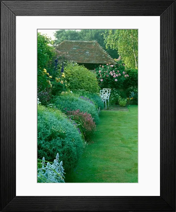 Framed Print : Lawn and herbaceous border in large country garden in summer Framed Print : Lawn and herbaceous border in large country garden in summer