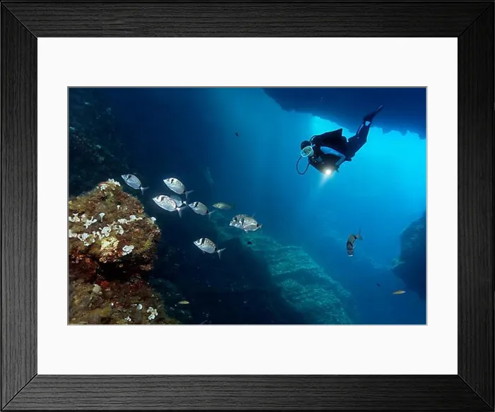 Framed Print : Diver in a cave with a lamp, observing a shoal common two-banded seabream (Diplodus vulgaris) Framed Print : Diver in a cave with a lamp, observing a shoal common two-banded seabream (Diplodus vulgaris)