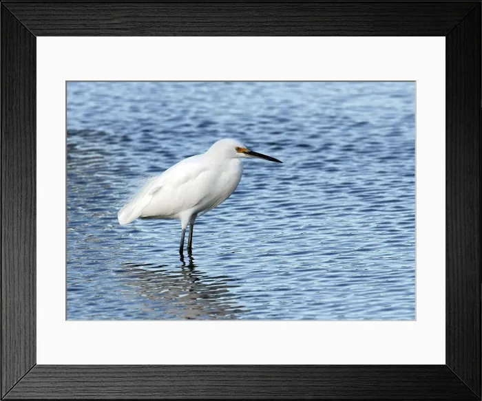 Framed Print : CAPE CANAVERAL, Fla Framed Print : CAPE CANAVERAL, Fla