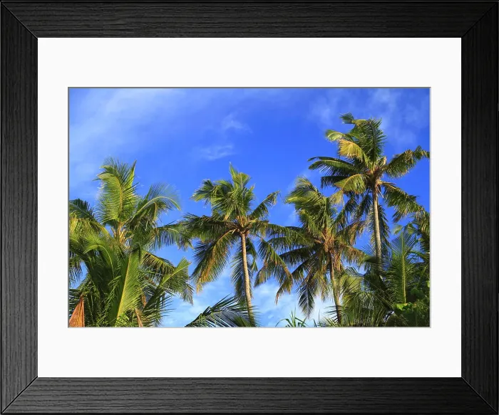 Framed Print : Tropical beach Tropical beach on Maldives in the Indian Ocean. Copyright: xZoonar.com / RudolfxTepfenhartx 4974148 Framed Print : Tropical beach Tropical beach on Maldives in the Indian Ocean. Copyright: xZoonar.com / RudolfxTepfenhartx 4974148