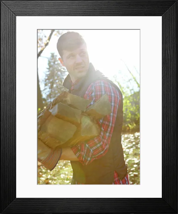 Framed Print : Collecting wood, deforestation and lumberjack man in forest for industry