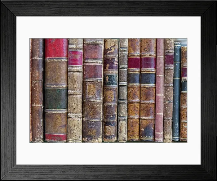 Framed Print : Antiquarian bookshop on the shelf Framed Print : Antiquarian bookshop on the shelf