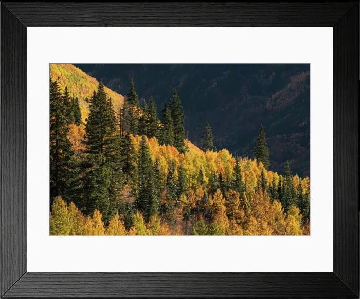Framed Print : Autumn aspen trees on mountain slope from Million Dollar Highway near Crystal Lake, Ouray, Colorado