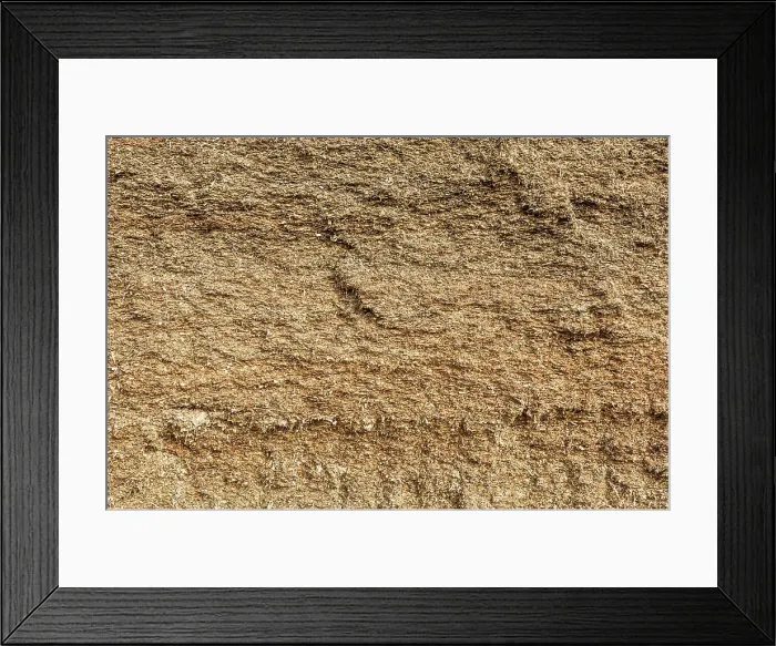Framed Print : Reportage on a dairy cattle farm (Finistère, France). Cattle mix Framed Print : Reportage on a dairy cattle farm (Finistère, France). Cattle mix