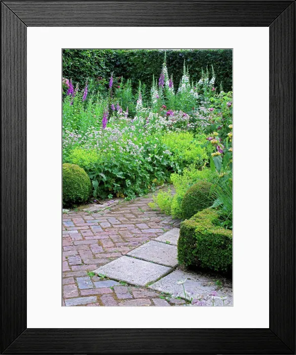 Framed Print : Box hedge and perennials in bloom on a garden terrace
